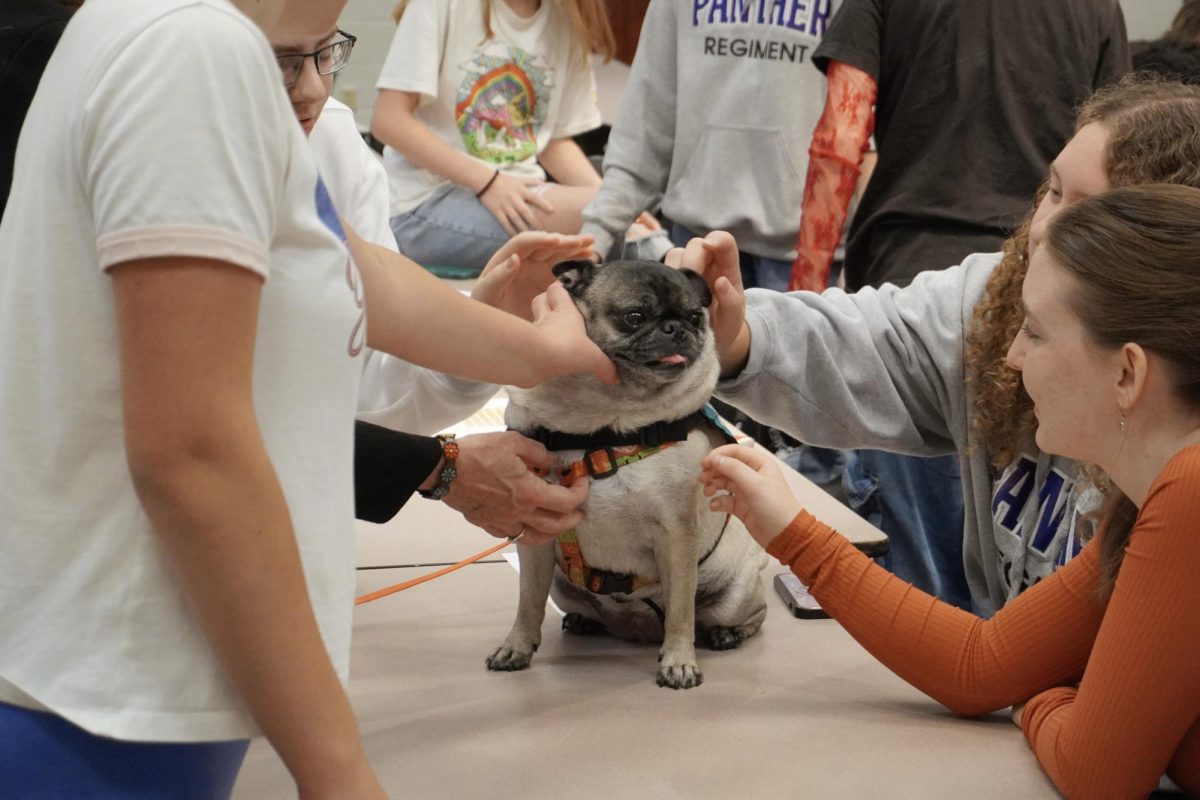 Monroe County Humane Association therapy dog Grace visits South students attending the Brightening Lives Club meeting during SRT on Sept. 30, 2024.